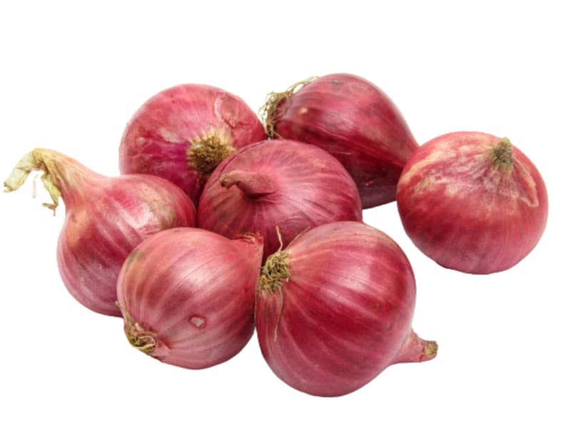 Zwiebeln rot, Netz