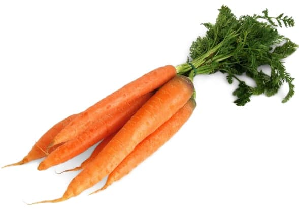 Bunched carrots with green
