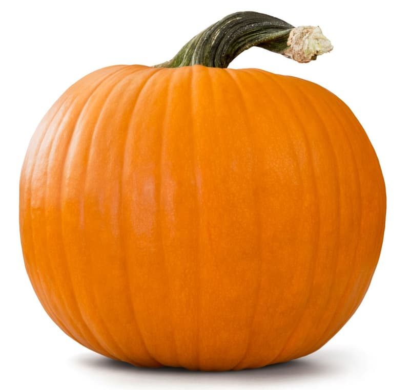 Halloween Kürbis, ca. 4-7kg