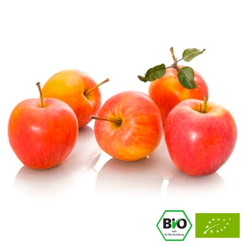 BIO Apples Elstar, in a bag