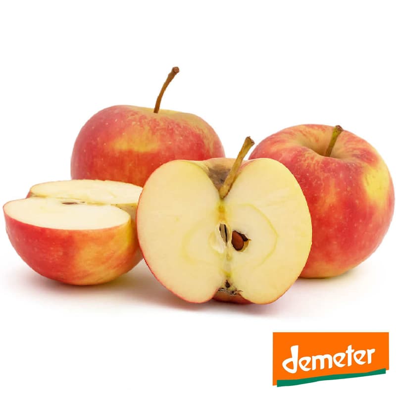 BIO Apples Elstar, in a bag
