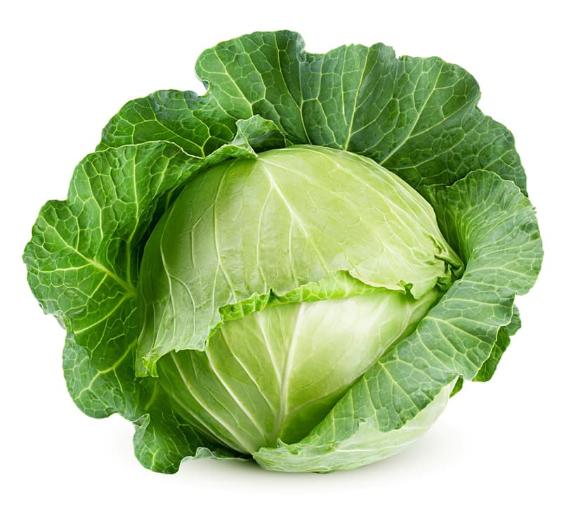White cabbage, 1 pc.