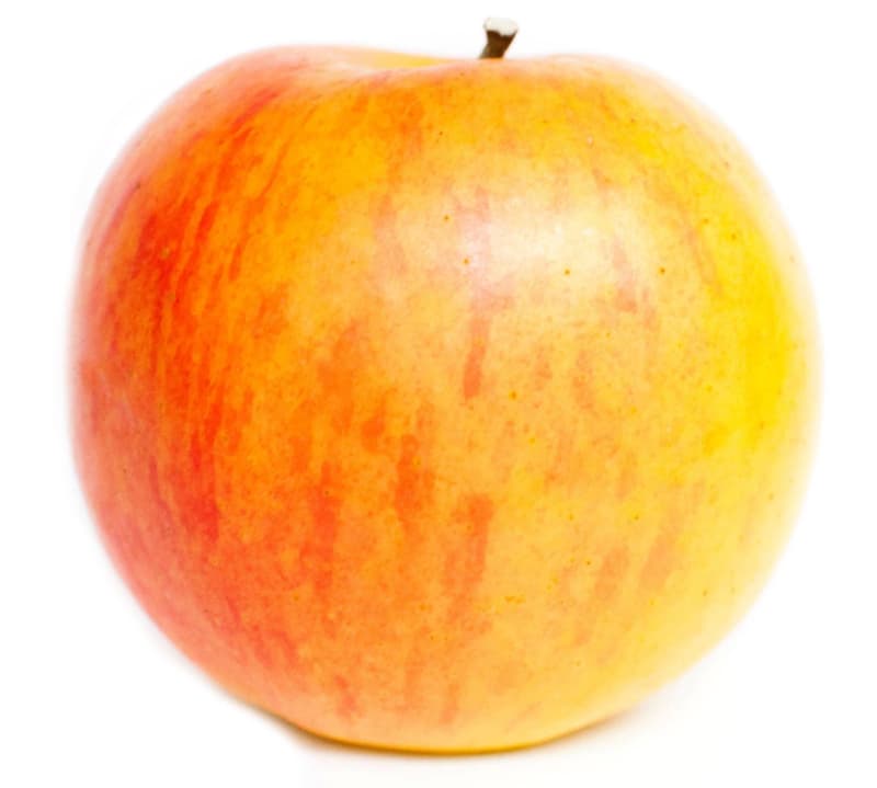 Eckhoffs apple Cox Orange