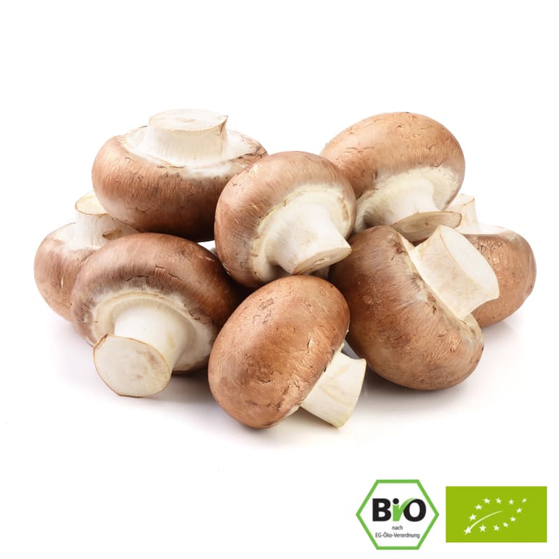 BIO Champignons Creme, Schale