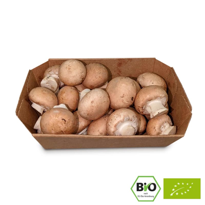 BIO Champignons Creme, Schale