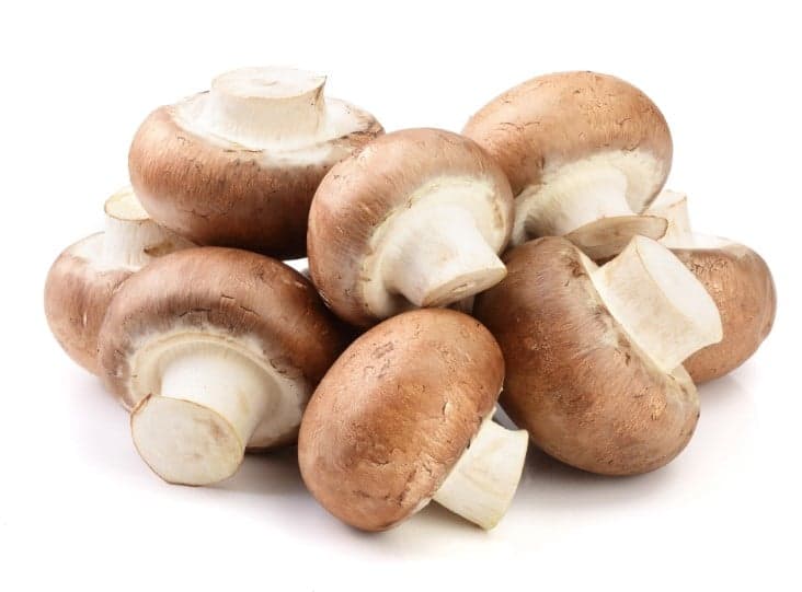 BIO Champignons Creme, Schale
