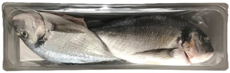 FJORU ASC Sea Bream / Gilthead Seabream Whole - Family Pack