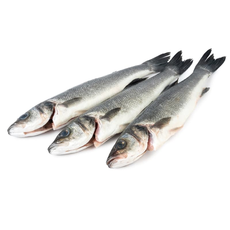 FJORU ASC Whole Sea Bass - Family Pack