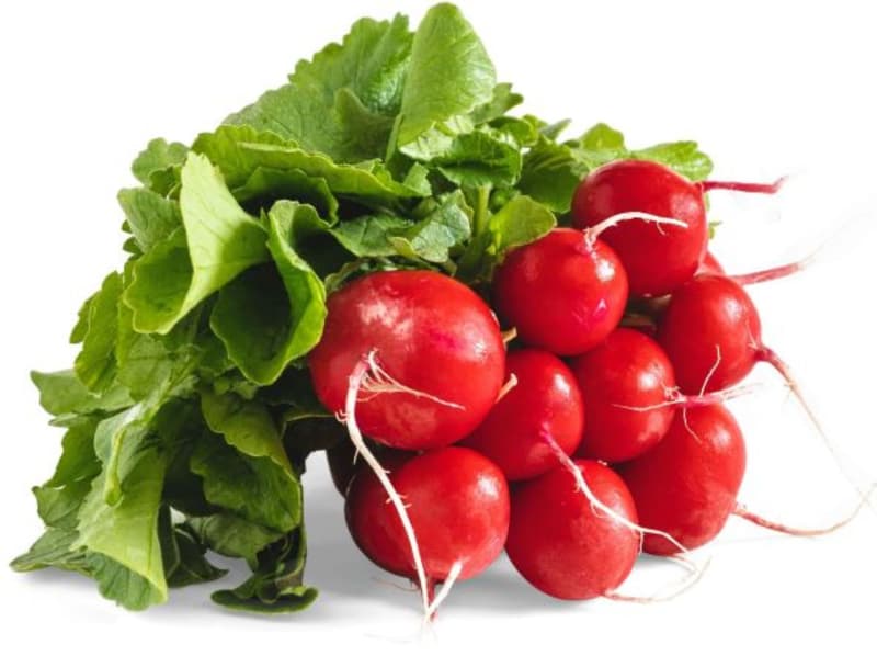Fehmel's radishes, bunch
