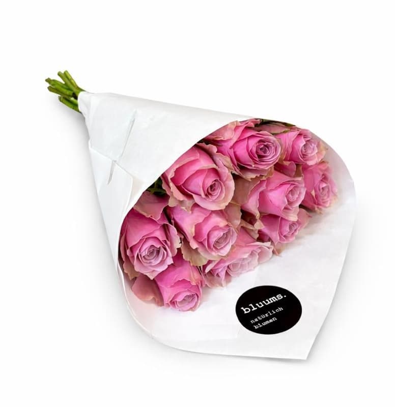 flowers. Pink roses
