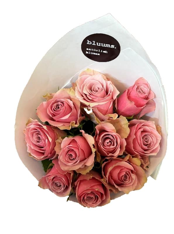 flowers. Pink roses