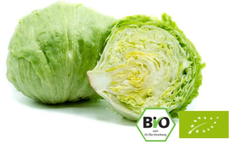 BIO Eisbergsalat, 1 Stk.