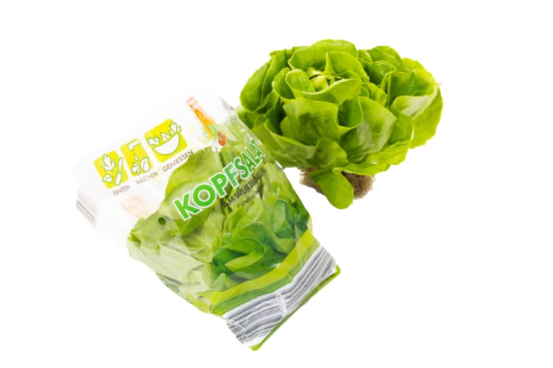 Kopfsalat mit Wurzel, 1 Stk.