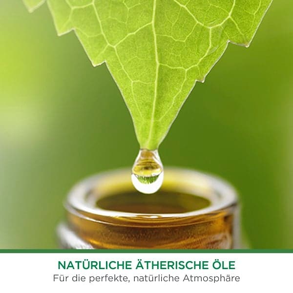 Air Wick Freshmatic Max Nachfüller DUO Cotton & Weißer Flieder
