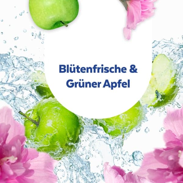 Sagrotan Allzweck-Reinigungstücher Blütenfrische & grüner Apfel