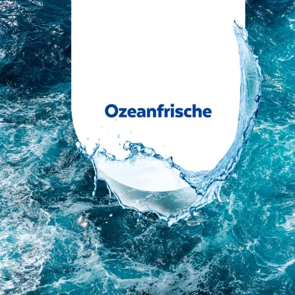 Sagrotan Badreiniger Ozeanfrische