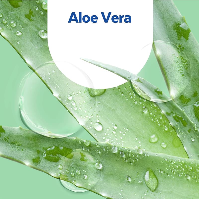Sagrotan Hygieneseife Aloe Vera