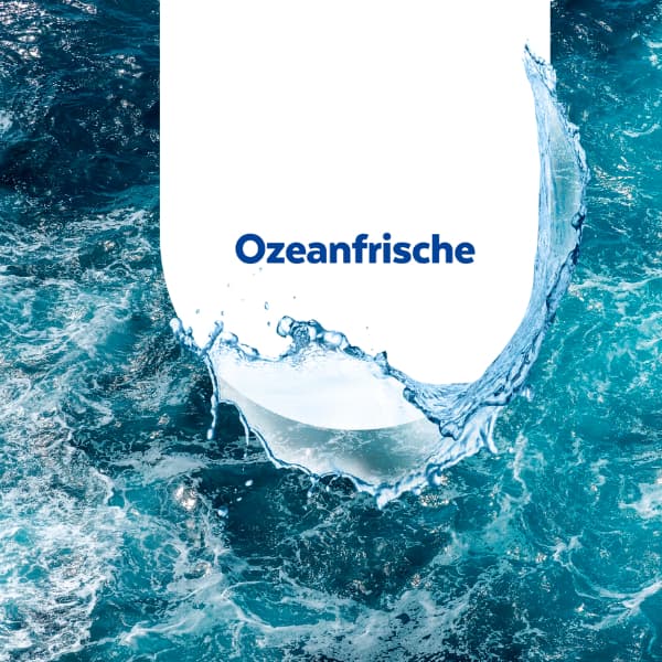 Sagrotan WC-Reiniger Ozeanfrische