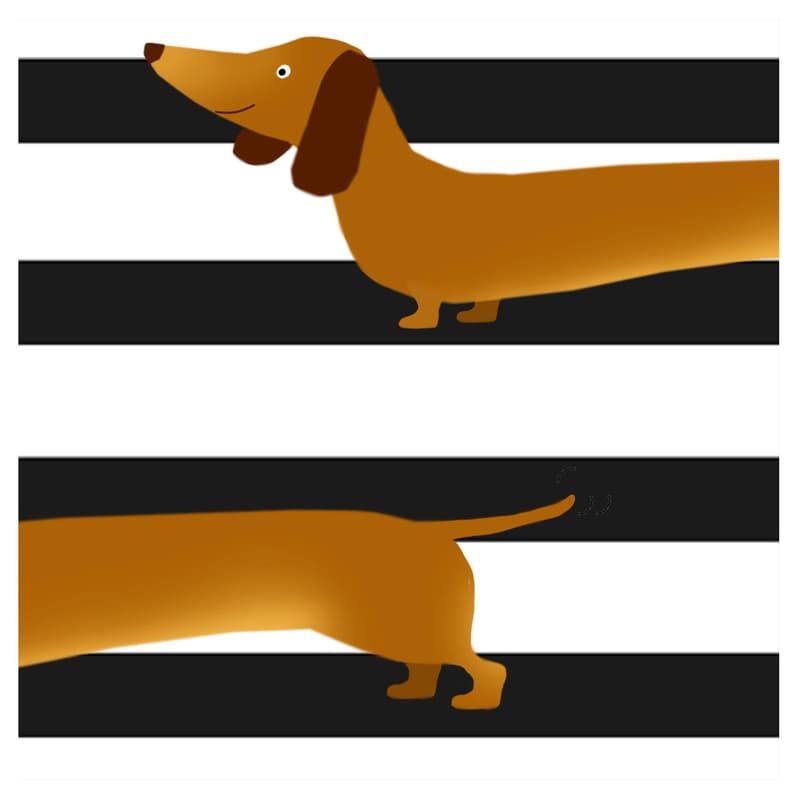 Serviette 33x33cm "Sausage Dog"