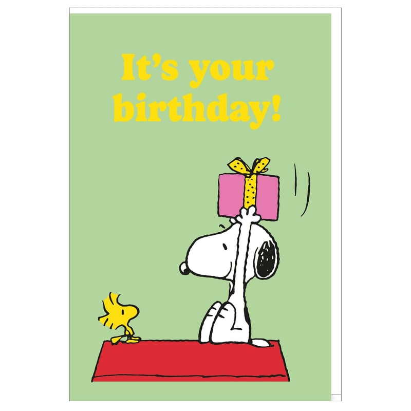 Grußkarte 11,5x17cm "Geburtstag Snoopy"