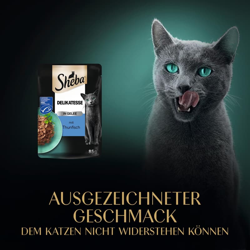 SHEBA Delikatesse Portionsbeutel Thunfisch in Gelee MSC