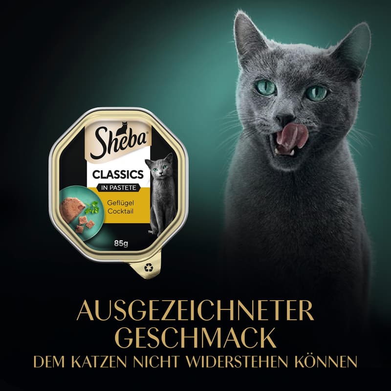 SHEBA Classics Tray Poultry Cocktail Pâté 85 g