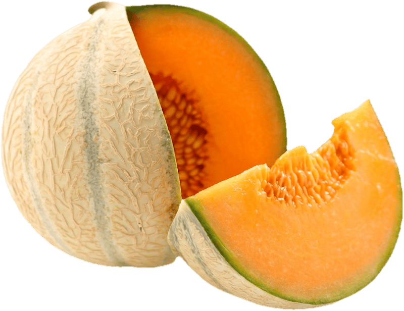 Reinheimer's Charantais Melone