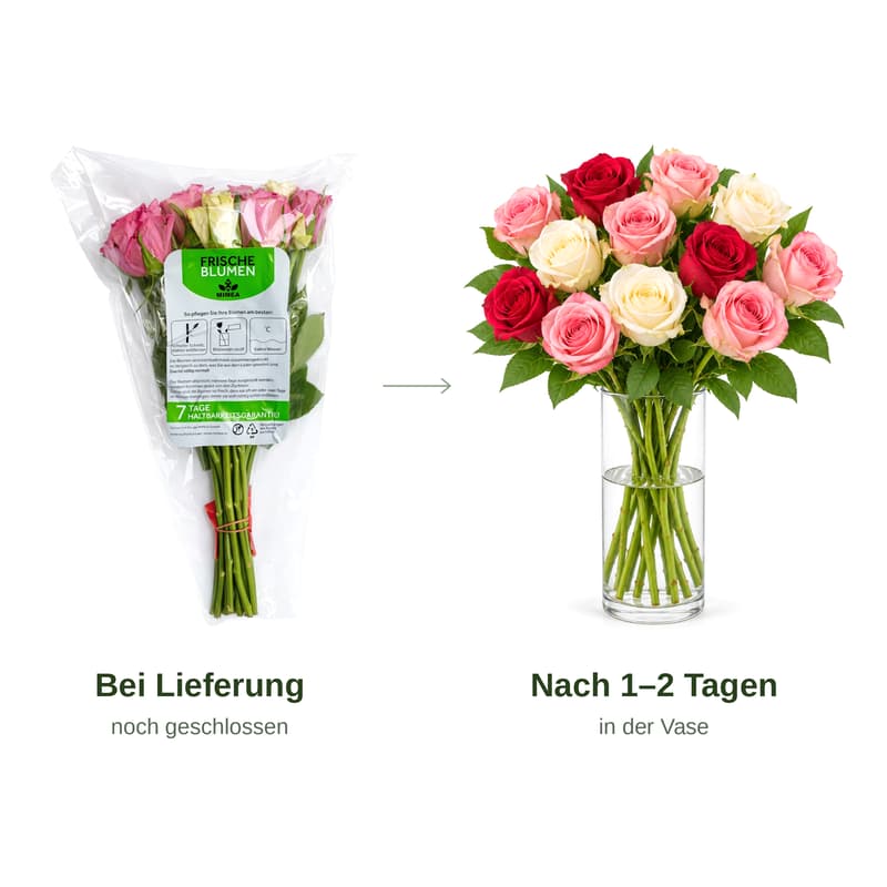 MIMEA Gemischte Rosen, kalte Farben
