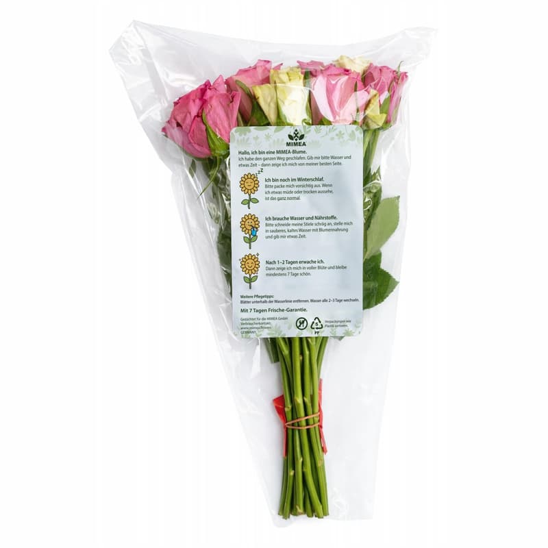 MIMEA Mixed Roses, cool colors