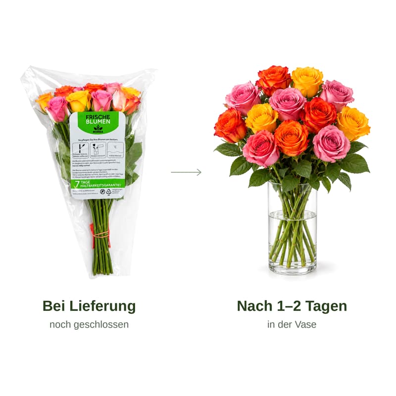 MIMEA Gemischte Rosen, warme Farben