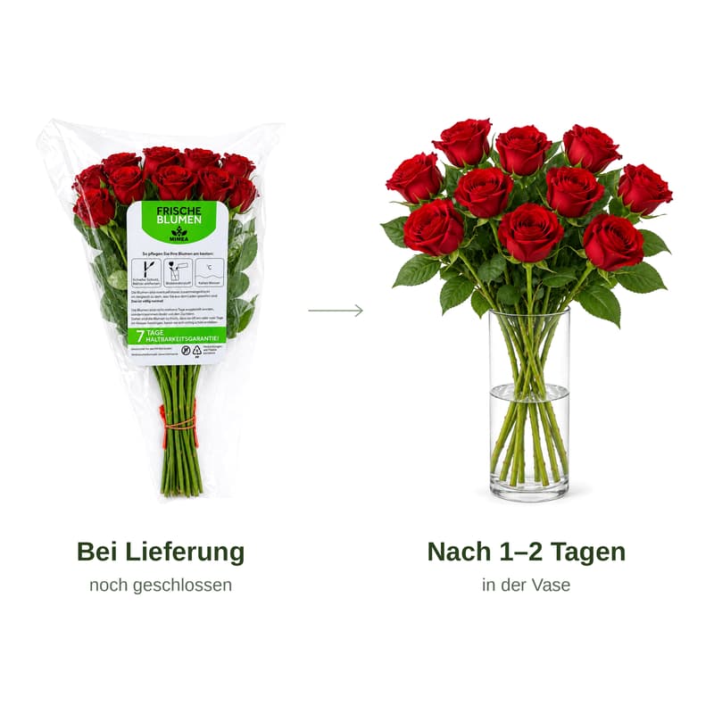 MIMEA Rote Rosen