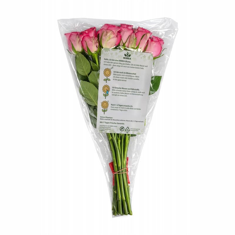 MIMEA Pinke Rosen