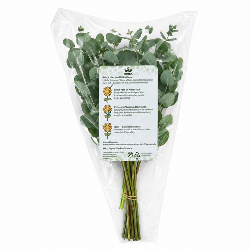 MIMEA Eucalyptus