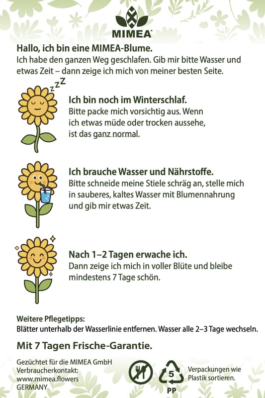 Saisonaler Blumenstrauß 40 cm x 13 Stiele