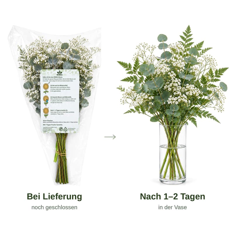 MIMEA Gemischter Füll-Blumenstrauß