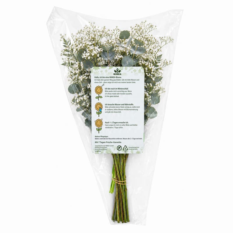 MIMEA Gemischter Füll-Blumenstrauß