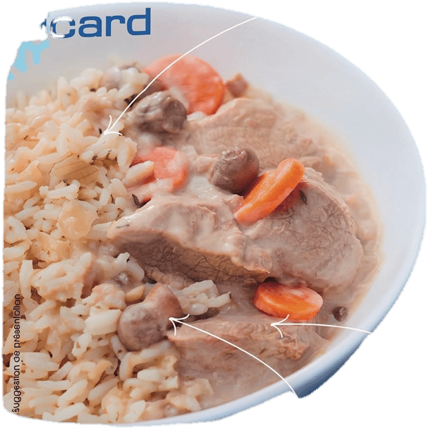 PICARD Blanquette de Veau mit Isigny-Sahne und Reis