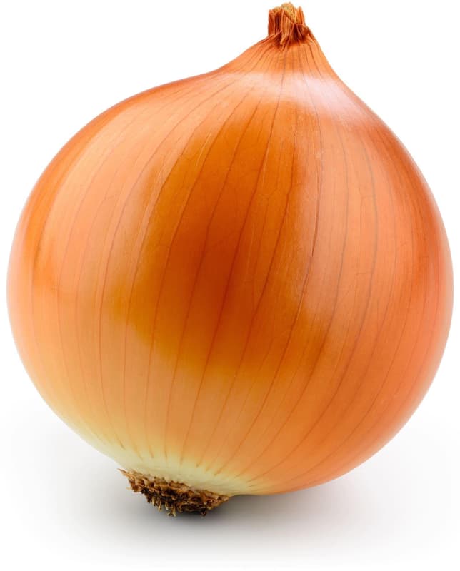 Onion