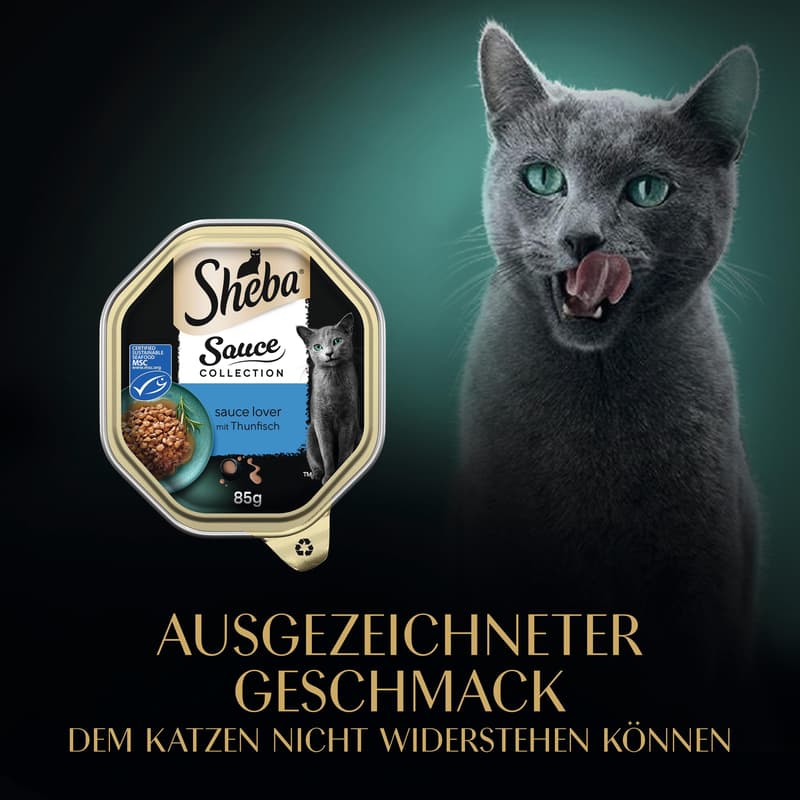 SHEBA Sauce Collection Sauce Lover Schale Thunfisch in Sauce MSC 85g