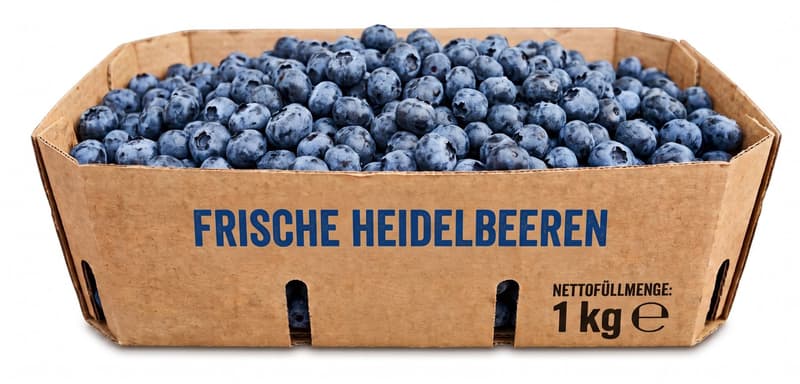 Heidelbeeren XL Schale