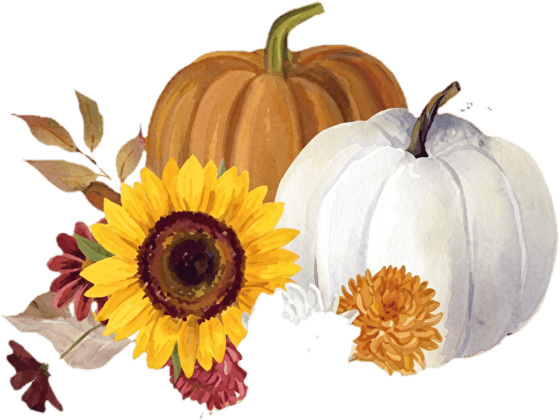Napkin 33x33cm ‘Pumpkin blanc de blanc’