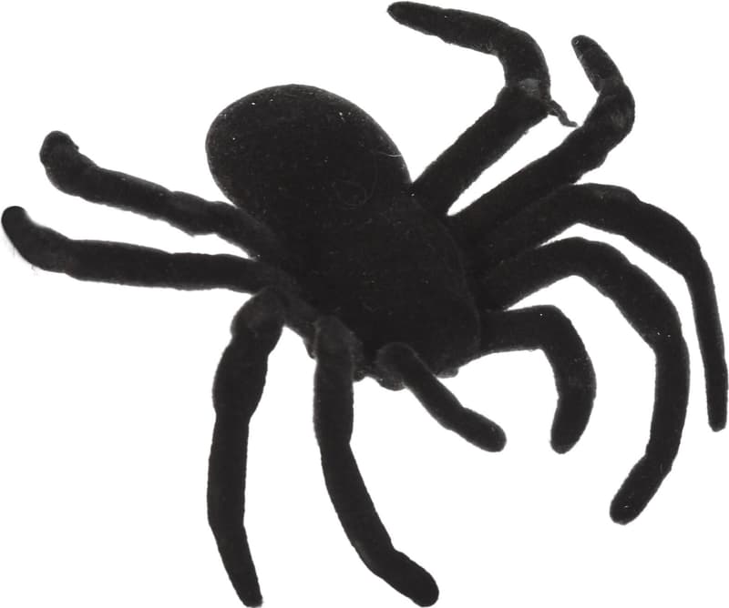 6-Pack Spiders (7x6 cm)