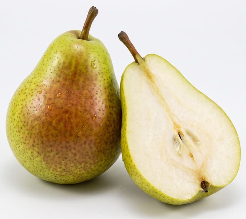 Gute Luise Pear
