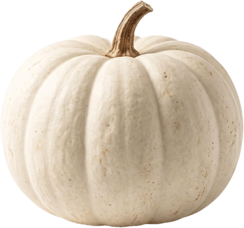 Weißer Halloween Kürbis