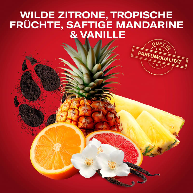 Old Spice Deo Spray Geschenkset Gamer Wolfthorn (Stick, SG)