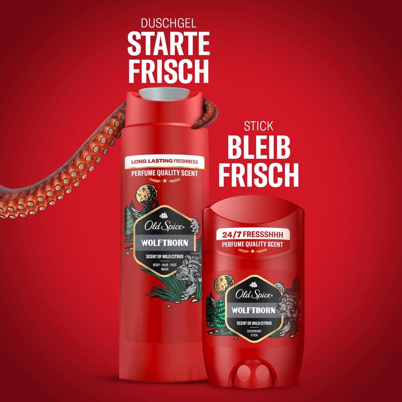 Old Spice Deo Spray Geschenkset Gamer Wolfthorn (Stick, SG)