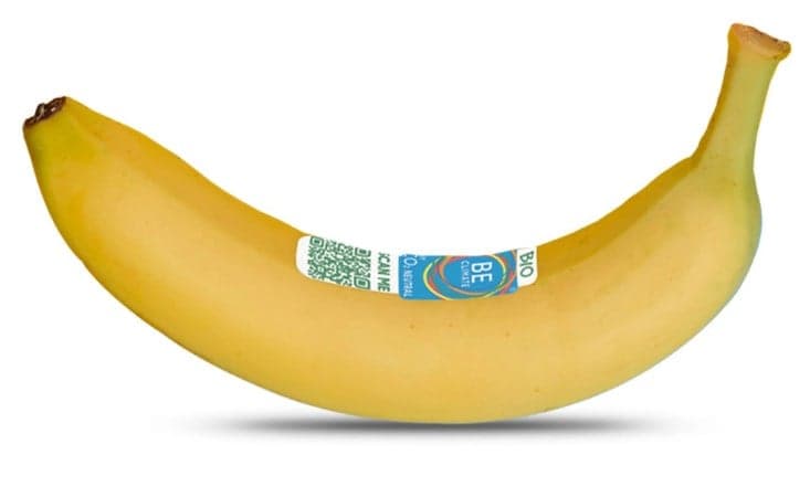 BIO Banane, 1 Stk.