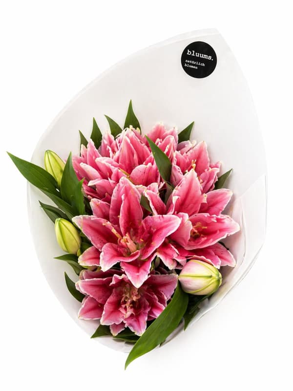 bluums. Lilies pink