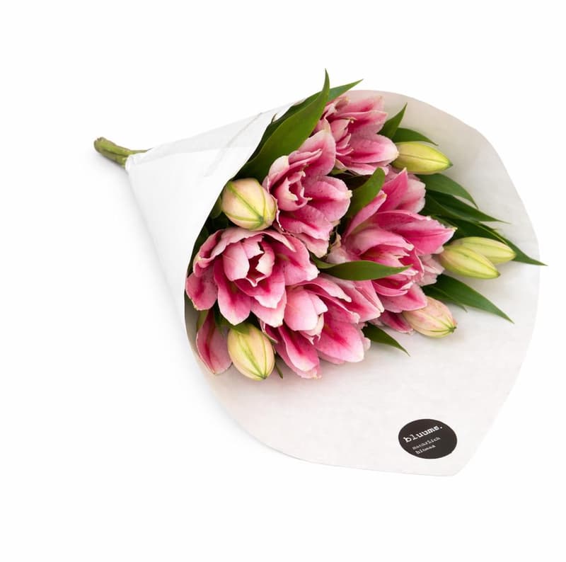 bluums. Lilies pink