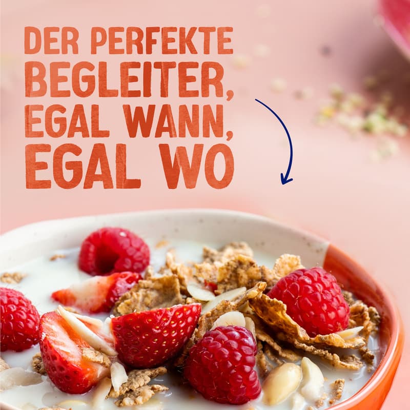 Alpro Sojadrink ohne Zucker VEGAN